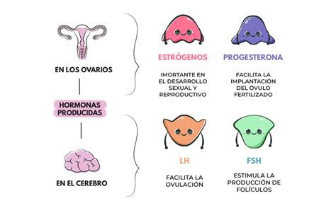 que significa hormonal mujer-4